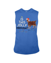 Load image into Gallery viewer, Jolly Cat Christmas Gift For Cat Lovers Unisex Long Sleeve