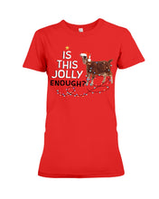 Load image into Gallery viewer, Jolly Cat Christmas Gift For Cat Lovers Ladies Tee