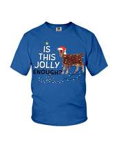 Load image into Gallery viewer, Jolly Cat Christmas Gift For Cat Lovers Youth Tee