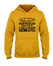 Load image into Gallery viewer, Attitude From Crazy Norwegian Dad Norway Love T-Shirt For Dad Hoodie