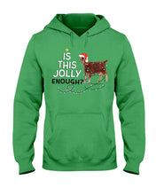 Load image into Gallery viewer, Jolly Cat Christmas Gift For Cat Lovers Hoodie