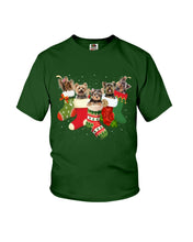 Load image into Gallery viewer, Yorkies In The Socks For Yorkie Lovers Christmas Gift Youth Tee