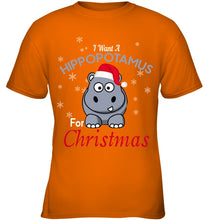Load image into Gallery viewer, I Want A Hippopotamus For Christmas Shirt Youth Tee