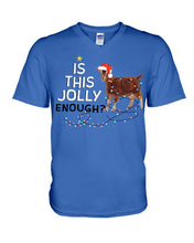 Load image into Gallery viewer, Jolly Cat Christmas Gift For Cat Lovers Guys V-Neck