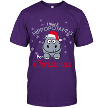 Load image into Gallery viewer, I Want A Hippopotamus For Christmas Shirt Guys Tee