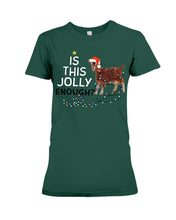 Load image into Gallery viewer, Jolly Cat Christmas Gift For Cat Lovers Ladies Tee