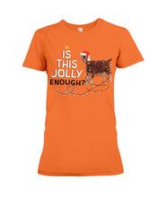 Load image into Gallery viewer, Jolly Cat Christmas Gift For Cat Lovers Ladies Tee