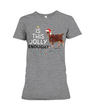 Load image into Gallery viewer, Jolly Cat Christmas Gift For Cat Lovers Ladies Tee