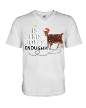 Load image into Gallery viewer, Jolly Cat Christmas Gift For Cat Lovers Guys V-Neck