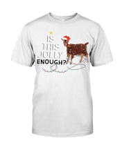 Load image into Gallery viewer, Jolly Cat Christmas Gift For Cat Lovers Guys Tee