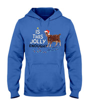 Load image into Gallery viewer, Jolly Cat Christmas Gift For Cat Lovers Hoodie
