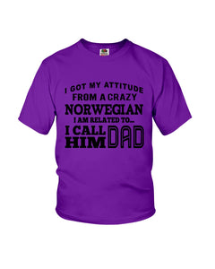 Attitude From Crazy Norwegian Dad Norway Love T-Shirt For Dad Youth Tee