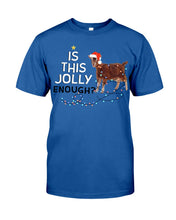 Load image into Gallery viewer, Jolly Cat Christmas Gift For Cat Lovers Guys Tee