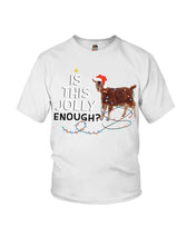 Load image into Gallery viewer, Jolly Cat Christmas Gift For Cat Lovers Youth Tee