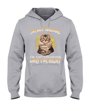 Load image into Gallery viewer, Cat Lovers T-Shirt Not Arguing Just Explaining Hoodie