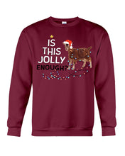 Load image into Gallery viewer, Jolly Cat Christmas Gift For Cat Lovers Sweatshirt