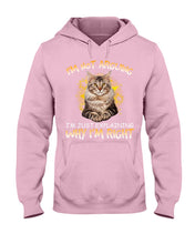 Load image into Gallery viewer, Cat Lovers T-Shirt Not Arguing Just Explaining Hoodie