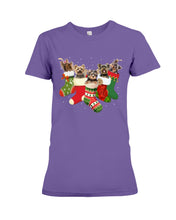 Load image into Gallery viewer, Yorkies In The Socks For Yorkie Lovers Christmas Gift Ladies Tee