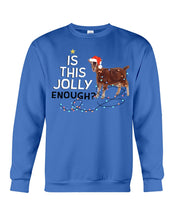 Load image into Gallery viewer, Jolly Cat Christmas Gift For Cat Lovers Sweatshirt
