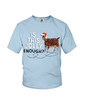 Load image into Gallery viewer, Jolly Cat Christmas Gift For Cat Lovers Youth Tee