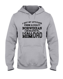 Attitude From Crazy Norwegian Dad Norway Love T-Shirt For Dad Hoodie