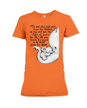 Load image into Gallery viewer, Elephant Cute Gift For Family Tee Ladies Tee