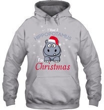 Load image into Gallery viewer, I Want A Hippopotamus For Christmas Shirt Hoodie