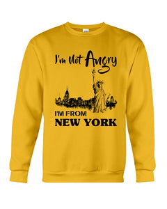 New York Man Gift T-Shirt Sweatshirt