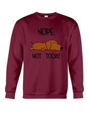 Load image into Gallery viewer, Dachshund Nope Not Today For Dachshunds Lovers Sweatshirt