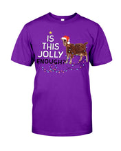 Load image into Gallery viewer, Jolly Cat Christmas Gift For Cat Lovers Guys Tee