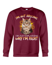 Load image into Gallery viewer, Cat Lovers T-Shirt Not Arguing Just Explaining Sweatshirt