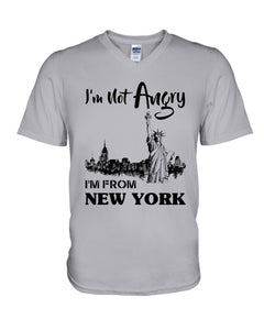 New York Man Gift T-Shirt Guys V-Neck