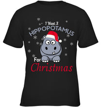 Load image into Gallery viewer, I Want A Hippopotamus For Christmas Shirt Youth Tee