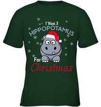 Load image into Gallery viewer, I Want A Hippopotamus For Christmas Shirt Youth Tee
