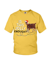 Load image into Gallery viewer, Jolly Cat Christmas Gift For Cat Lovers Youth Tee