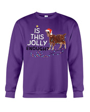 Load image into Gallery viewer, Jolly Cat Christmas Gift For Cat Lovers Sweatshirt