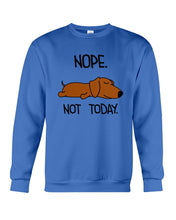 Load image into Gallery viewer, Dachshund Nope Not Today For Dachshunds Lovers Sweatshirt