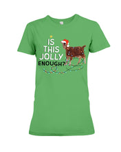 Load image into Gallery viewer, Jolly Cat Christmas Gift For Cat Lovers Ladies Tee
