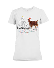 Load image into Gallery viewer, Jolly Cat Christmas Gift For Cat Lovers Ladies Tee