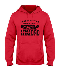 Attitude From Crazy Norwegian Dad Norway Love T-Shirt For Dad Hoodie