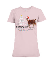 Load image into Gallery viewer, Jolly Cat Christmas Gift For Cat Lovers Ladies Tee