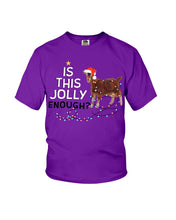 Load image into Gallery viewer, Jolly Cat Christmas Gift For Cat Lovers Youth Tee