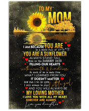 Load image into Gallery viewer, Daughter To Mom My Loving Mother Vertical Poster