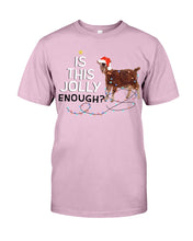 Load image into Gallery viewer, Jolly Cat Christmas Gift For Cat Lovers Guys Tee