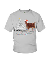 Load image into Gallery viewer, Jolly Cat Christmas Gift For Cat Lovers Youth Tee