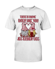 Load image into Gallery viewer, Gnome Lover Christmas Gift For Couple Tee Sweatshirt