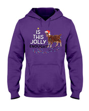 Load image into Gallery viewer, Jolly Cat Christmas Gift For Cat Lovers Hoodie