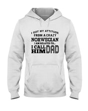 Load image into Gallery viewer, Attitude From Crazy Norwegian Dad Norway Love T-Shirt For Dad Hoodie