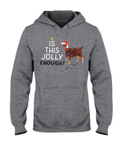 Load image into Gallery viewer, Jolly Cat Christmas Gift For Cat Lovers Hoodie