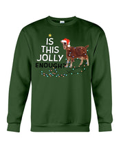 Load image into Gallery viewer, Jolly Cat Christmas Gift For Cat Lovers Sweatshirt